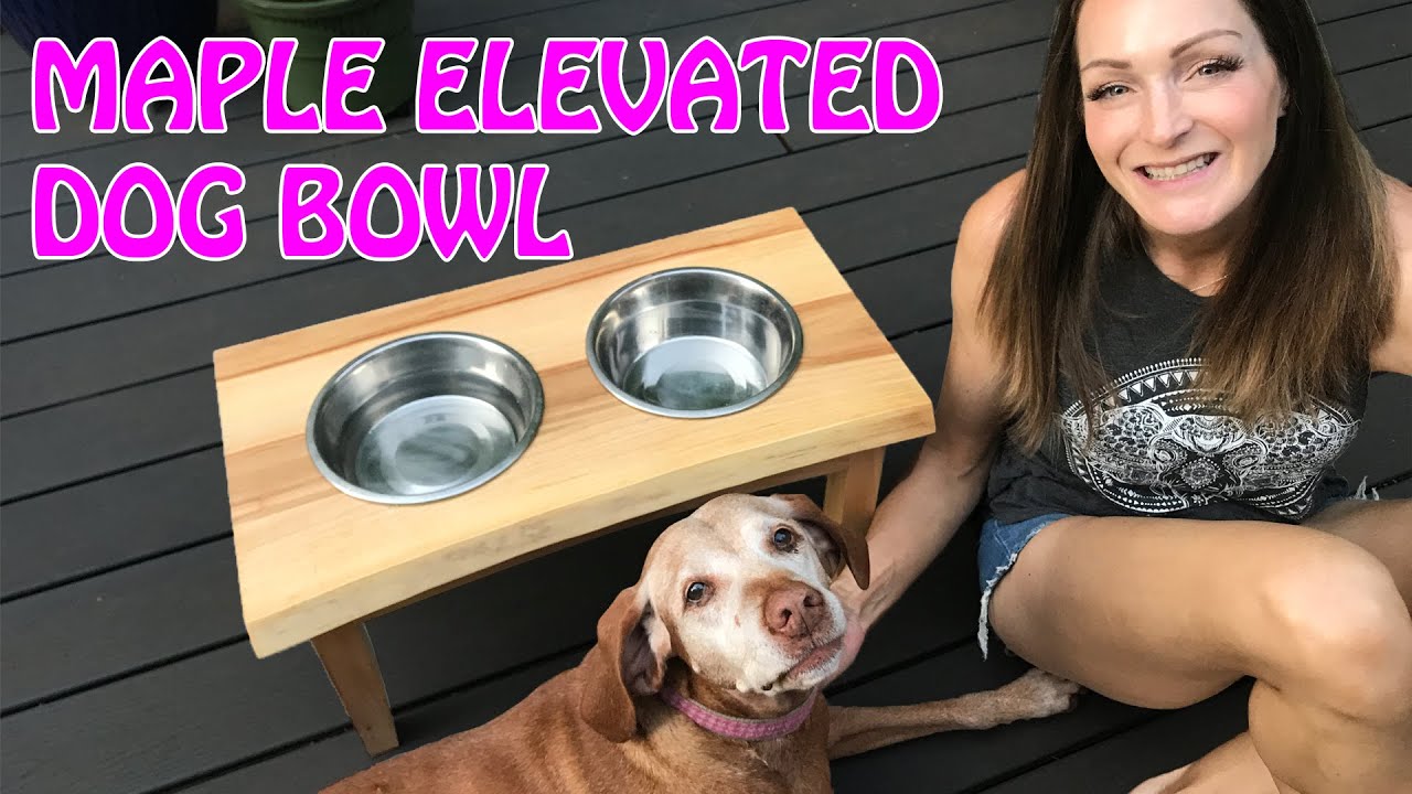 Upcycle Elevated Dog Feeder Ideas - Mother Daughter Projects