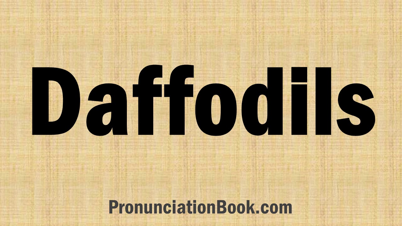 How to Pronounce Daffodils YouTube