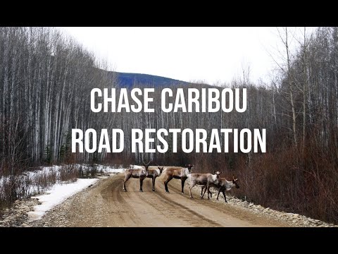 The Chase Caribou Road Restoration Program