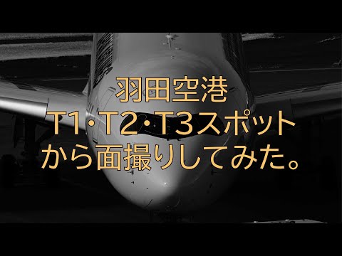 [#257] 羽田Ｔ１・Ｔ２・Ｔ３スポットから飛行機の面を撮ってみた。