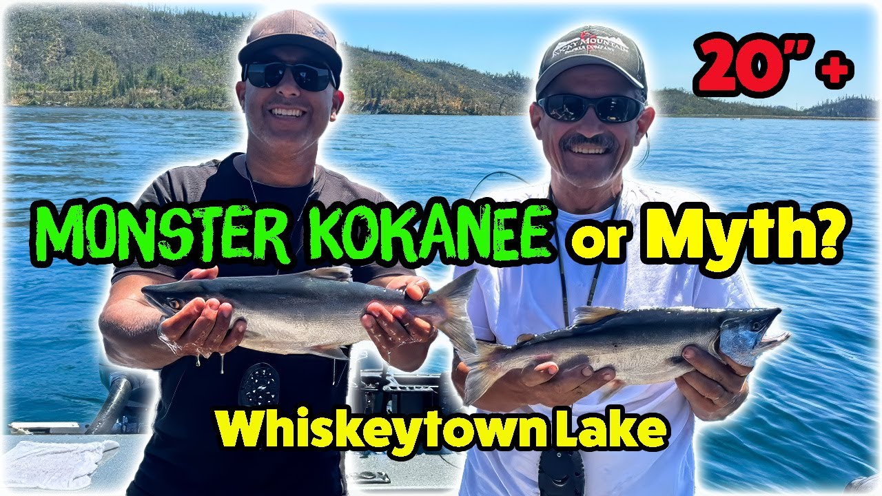 Fishing for Monster Kokanee Salmon! Giant Fish or Just a Myth?