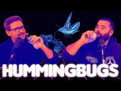 HUMMINGBUGS - Ep 389