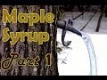 Making Maple Syrup- Part 1- How to Select & Tap a Maple Tree