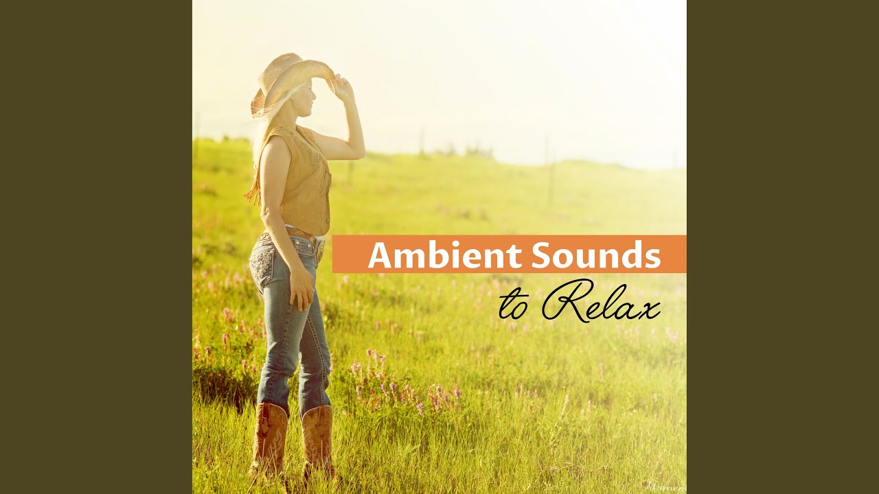 Ambient Sounds. Ambient Sounds 5. Relaxing Music for every Day фото на аву. Relax Ambient.