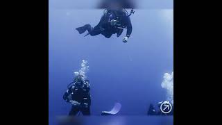 Daily Diving with «Diving Star» in Hurghada/ Дайвинг для сертифиц. дайверов в Хургаде «Diving Star»