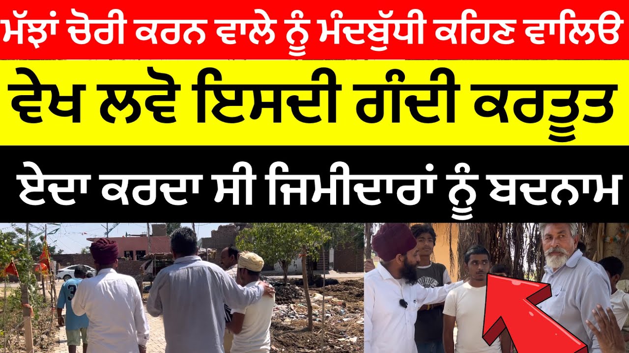 ਆਜੋ ਤੁਹਾਡੇ ਸਵਾਲਾਂ ਦੇ ਜਵਾਬ ਦੇਈਏ