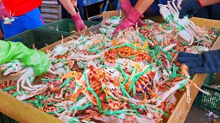 Eat Crab All Day！Flower Crab Catching,Fried Crab & Lobster Cooking/萬蟹齊發！花蟹、三點蟹捕撈, 芙蓉炒螃蟹, 蒜蓉龍蝦煲-阿杰萬里蟹