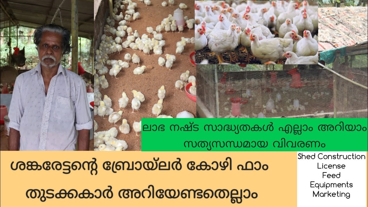 Broiler Poultry FarmingBroiler Farm KeralaBroiler Poultry farm