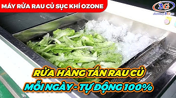 Máy Rửa Rau Củ Quả Sục Khí Ozone: Sạch Nhanh, An Toàn| Điện máy 3G