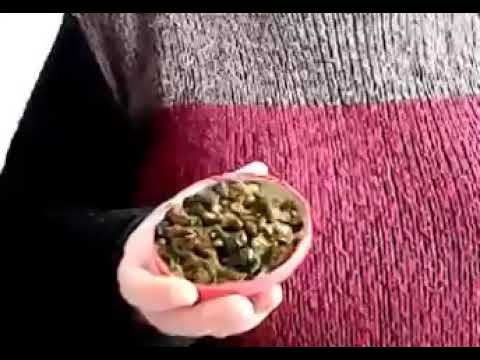 Чистка печени калиной