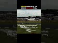 One of the races where Lewis Hamilton and Bottas dominated Formula 1