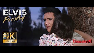 Elvis Presley AI 4K Enhanced ⭐UHD⭐ - Catchin' on Fast (1964)