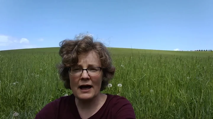 Dear Teachers by Susan Baumgartner