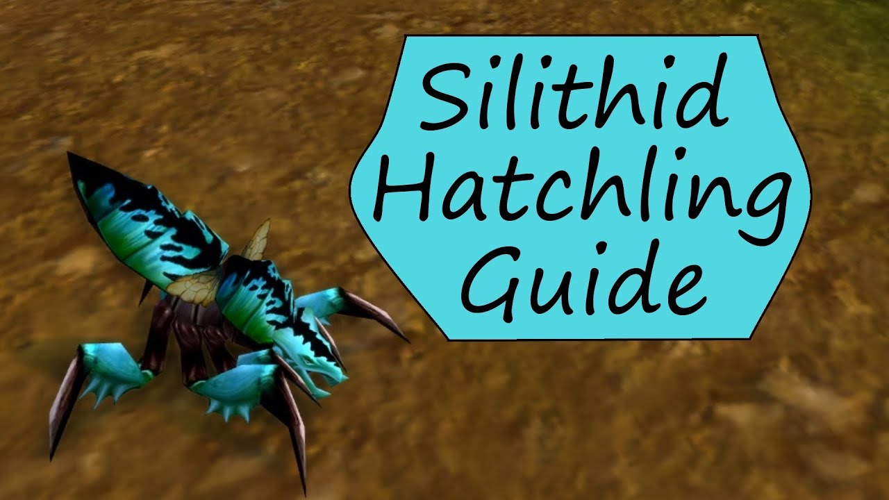 Silithid Hatchling: Wild Pet Spotlight and Guide