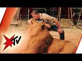 Direktor vom Circus Krone: Wie der „König der Löwen“ Tierschützern begegnet | stern TV