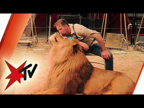 Direktor vom Circus Krone: Wie der „König der Löwen“ Tierschützern begegnet | stern TV