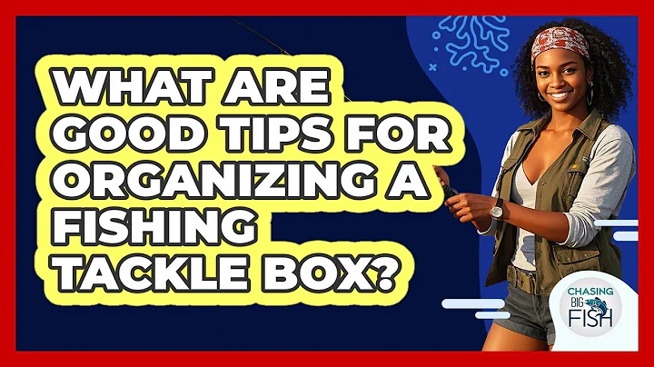 What Are Good Tips For Organizing A Fishing Tackle Box?