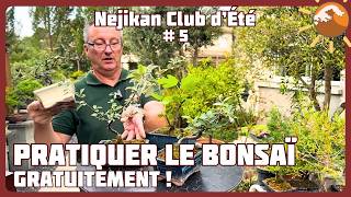 REPLAY LIVE : Comment peut-on pratiquer le BONSAÏ Gratuitement  ✅ NEJIKAN CLUB D’ÉTÉ ✅