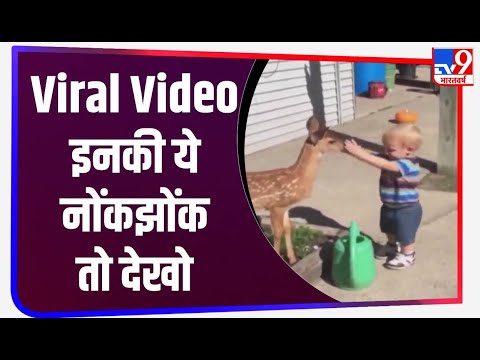 Viral Video: बच्चे और हिरन के बच्चे की ये नोंकझोंक तो देखो
