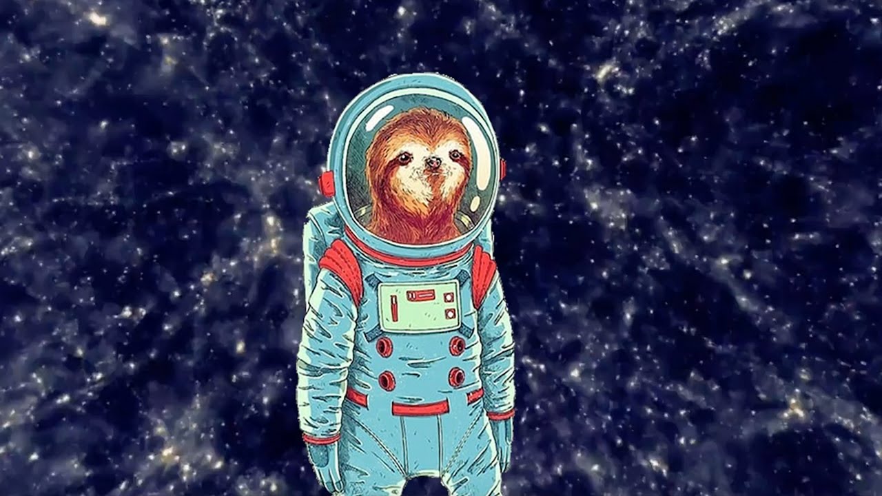 SPACE SLOTH / lofi sleephop mix - chill beats to sleep to