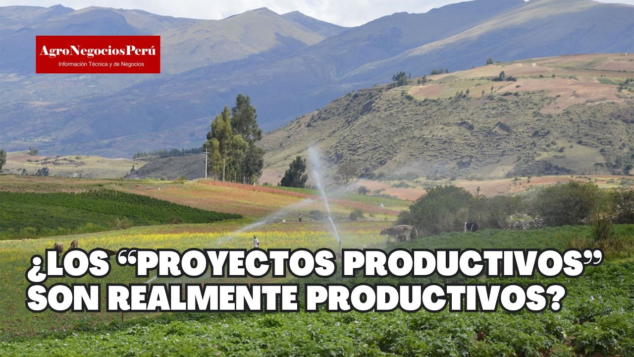 La verdad sobre muchos "proyectos productivos" en las regiones. ¿Realmente son productivos?
