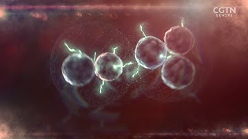 First Light Fusion: smashing hydrogen into energy