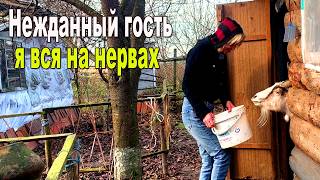Приехал Тот, Кого Не Ждала. Моя Деревенская Жизнь