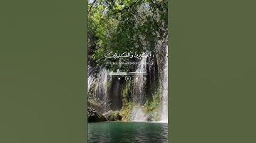 #اكسبلور #راحة_نفسية #القارء #duet #ايات #تيك_توك #تلاوات #لايك #تلاوه #دويتو