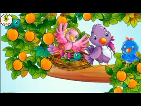 Video TRUYỆN: CHÚ CHIM SÂU/ TRUYỆN KỂ MẦM NON/ KỂ CHUYỆN BÉ NGHE/ CHỦ ĐỀ ĐỘNG VẬT/ Bơ Béo TV - youtube