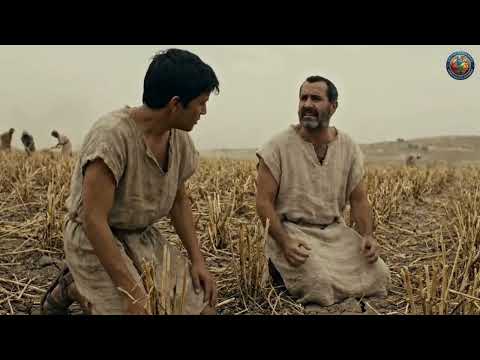 Beyond the Broken Field: The Purpose in the Storm