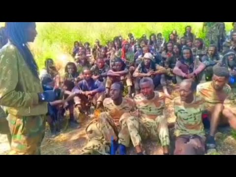 Lola WBO Fi Bilxiginnaa Warreen Impaayera Bututte Suphuuf Du A Seenaa Hin Qabne Du Aa Jirtan Ammumaa  Lola WBO Fi Bilxiginnaa Warreen Impaayera Bututte Suphuuf Du A Seenaa Hin Qabne Du Aa Jirtan Ammumaa