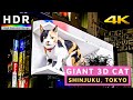 【4K HDR】Giant 3D Cat in Tokyo Shinjuku at Night - 新宿東口の猫