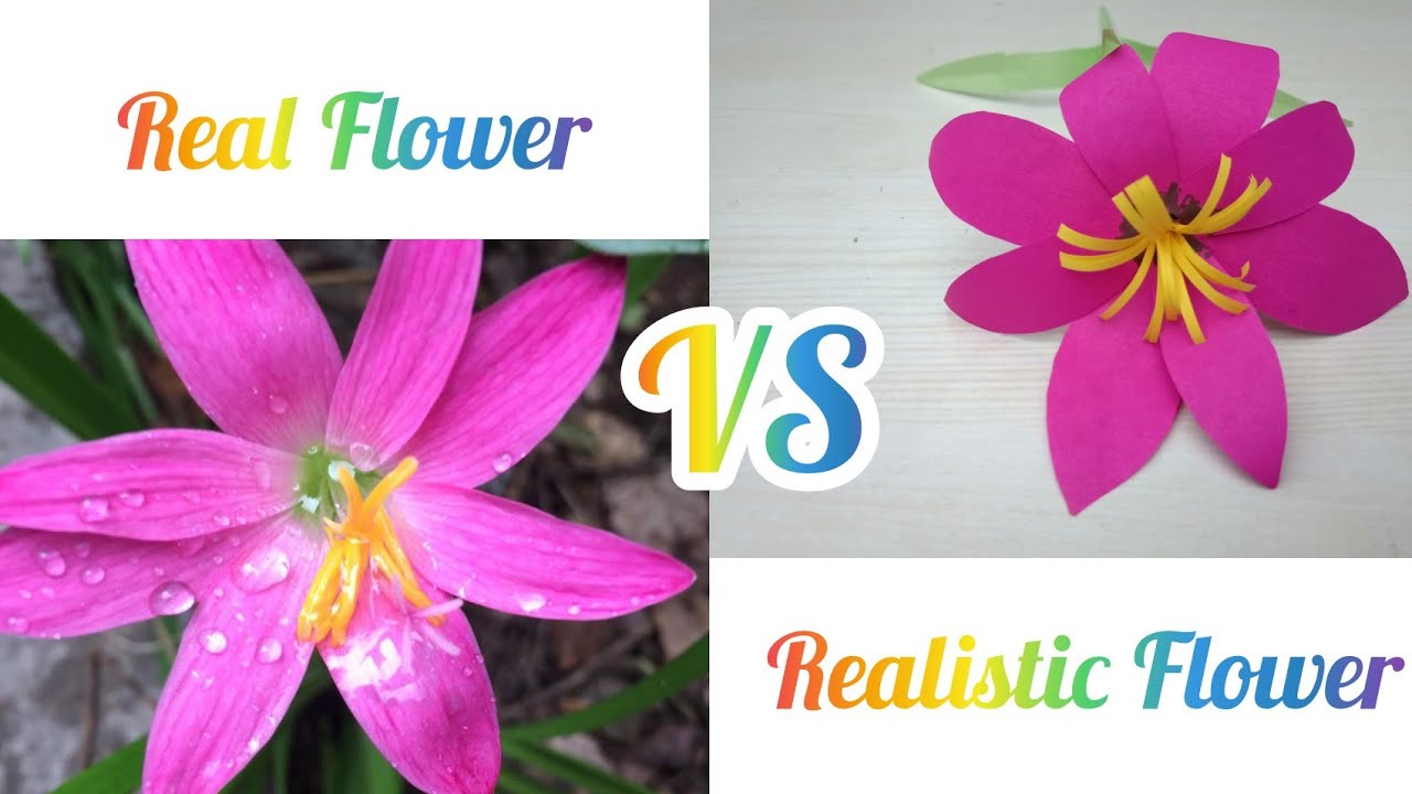 Real Flower Vs Realistic Flower |  Paper Flower Easy Paper Flower Making | DIY Paper Flower Craft