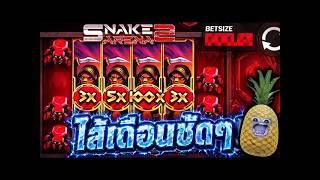 ฟิบซี่ Fibzy CH ➤ SNAKE ARENA 2   ย้ำเกมนี้รอบที่ 300 😱 !!