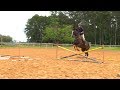 TV UC - Exercícios para cavalo de salto 1