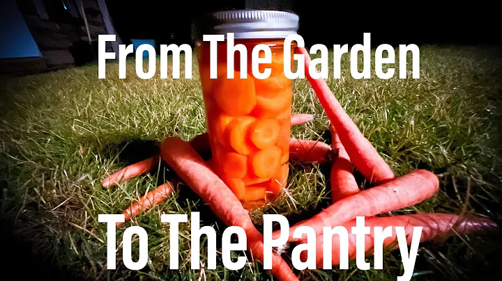 How to water bath carrots