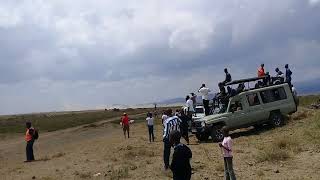 Rally sanya juu Tanzania 31.03.2019