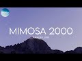 Furacão 2000 Mimosa 2000 Lyrics