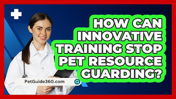 How Can Innovative Training Stop Pet Resource Guarding? - PetGuide360.com