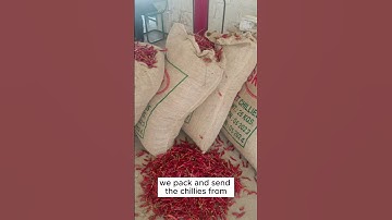 Exporting Red Chillies from Guntur to different countries #shorts #trending #import #export