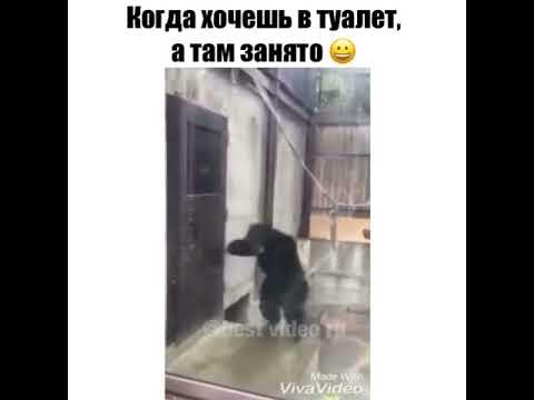 Девочка сильно хочет туалет. Девушка хочет в туалет. Девочка на унитазе. Девочка очень сильно хочет в туалет. Включи видео хочу в туалет.