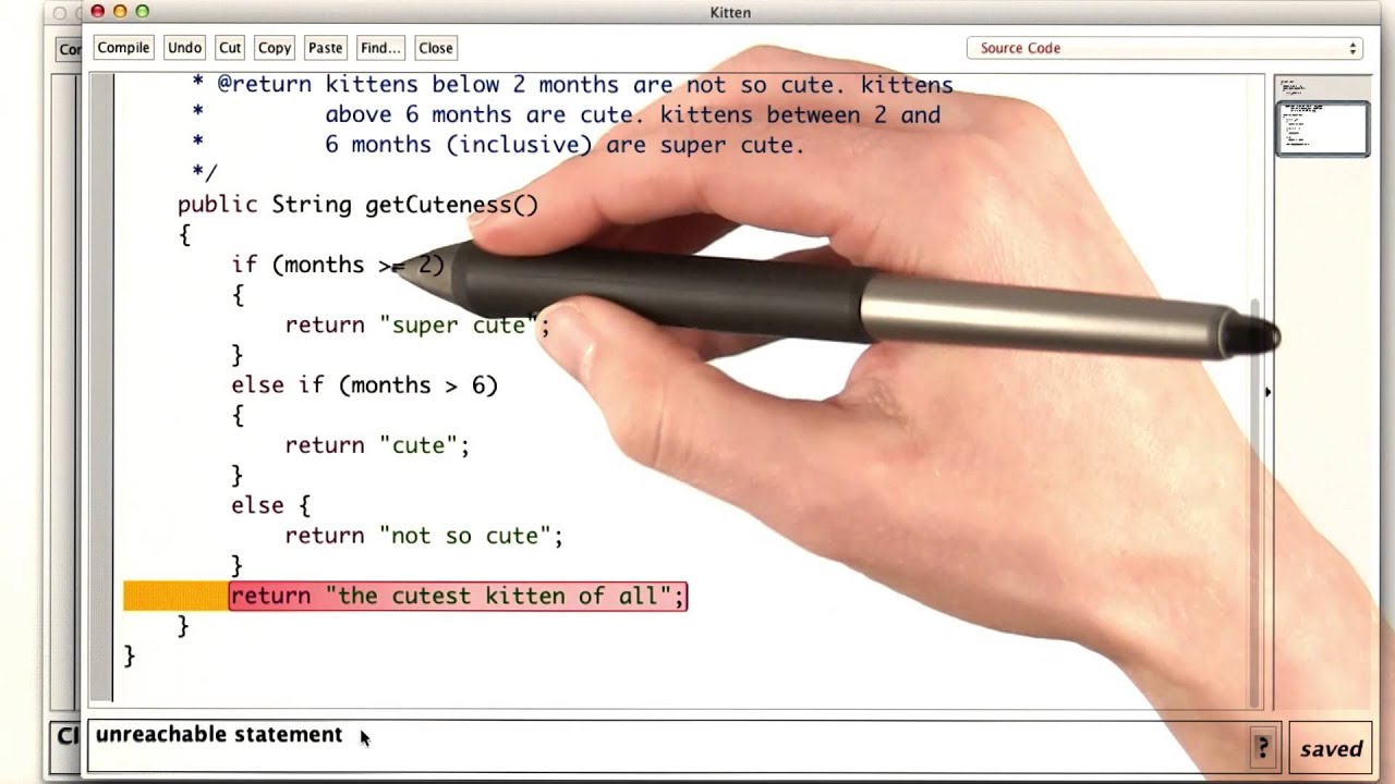 The Cutest Kitten - Intro to Java Programming - YouTube