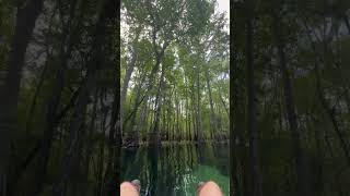 Float Down Ichetucknee River (60 Sec Portrait View), Columbia County, Florida, May 2024