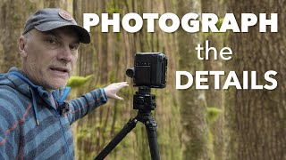 How to OBSERVE and PHOTOGRAPH details in NATURE