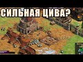 ВОТ ПОЧЕМУ ПОЛЯКИ ТОП | Винч с командой в Age of Empires 2