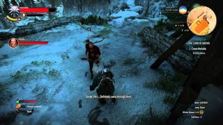 Witcher 3 - Lord Of Undvik Finding Hjalmar Fix