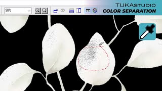 Clean Noise and Stray Pixels | TUKAstudio Video Help | Fabric Design Software | Color Separation