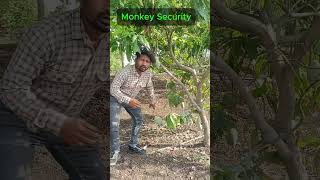 Mango ka Monkey Security #comedy #funny #trending #duet #fun #varsha1985 #viral #youtubeshorts
