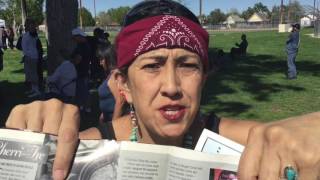 Cinco De Mayo Celebration