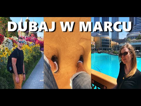 Wideo: Wakacje w Zjednoczonych Emiratach Arabskich w marcu